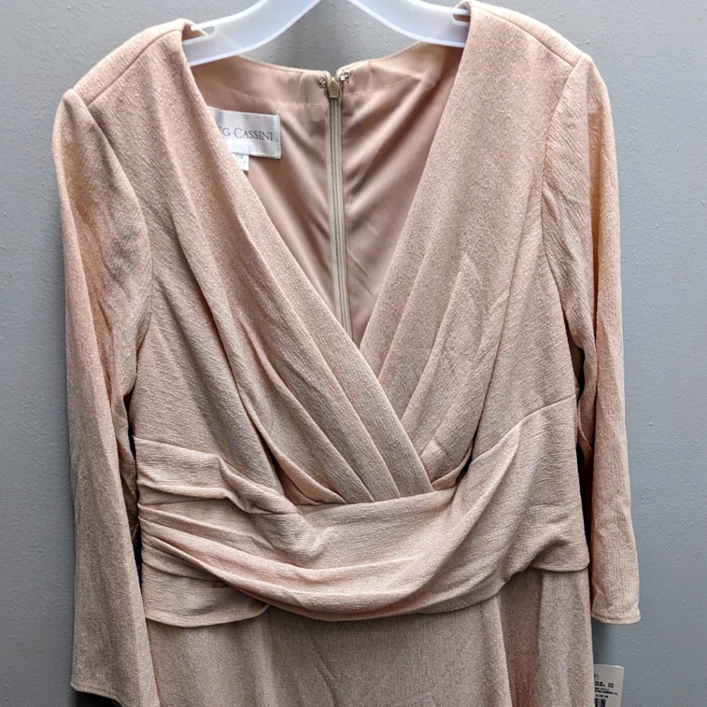Champagne Mother of the Bride/Groom/Formal Dress